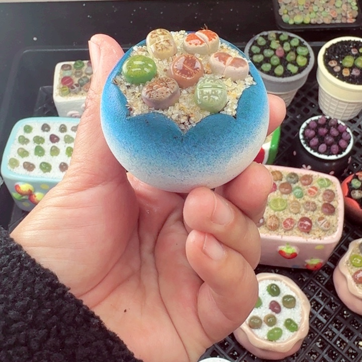 528零下地区记得拍保温箱满18包邮