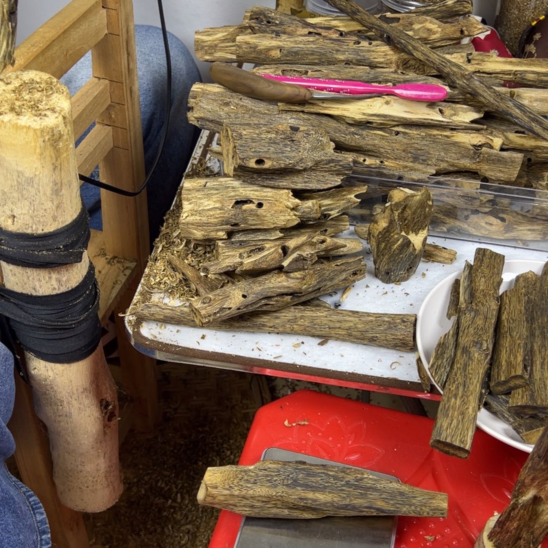 线香奇楠虫漏香45克