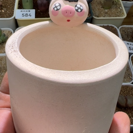 米奇猪猪盆一个617。