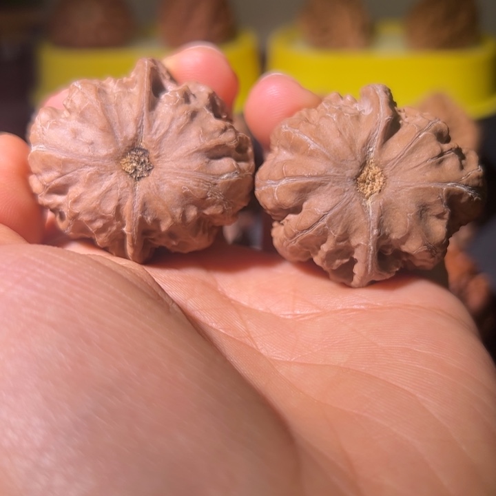 文玩核桃吊坠核桃8