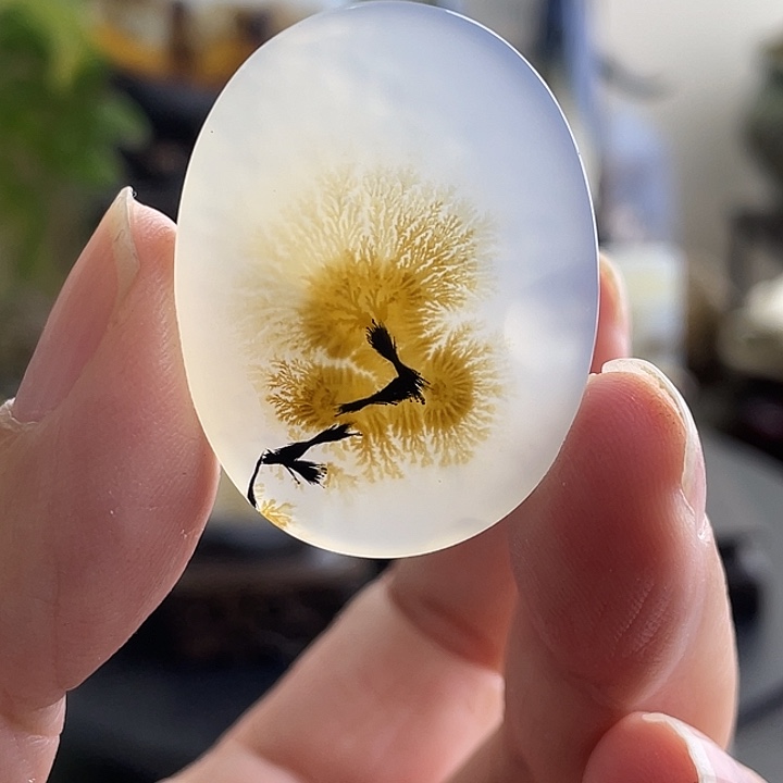 玛瑙/玉髓未镶嵌珠宝半成品