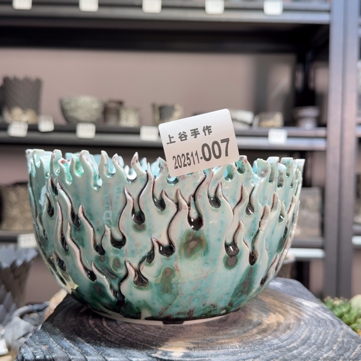 内口18.5高11块根植物盆