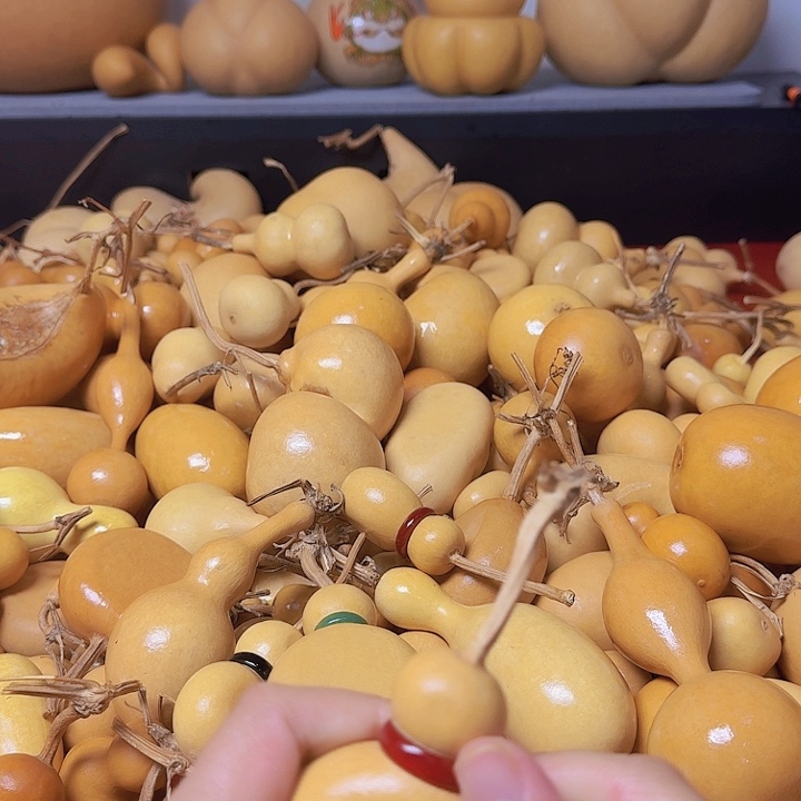 王***㉿广军一统军于其东城的一座小县城