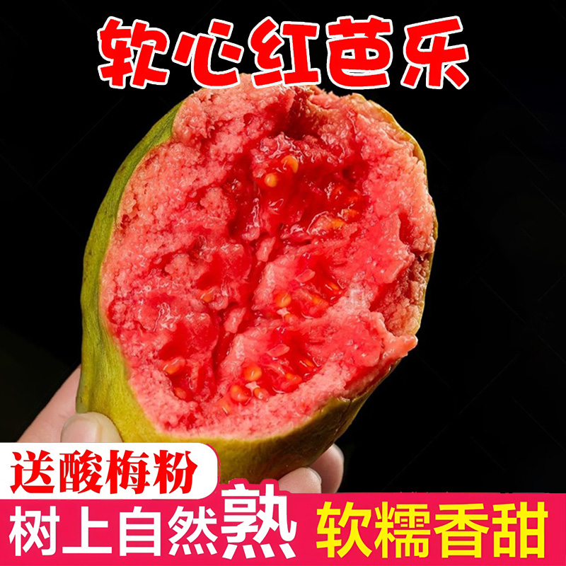 【狗哥严选】福建红心芭乐软糯香甜软心番石榴奶油芭乐老树新鲜现摘