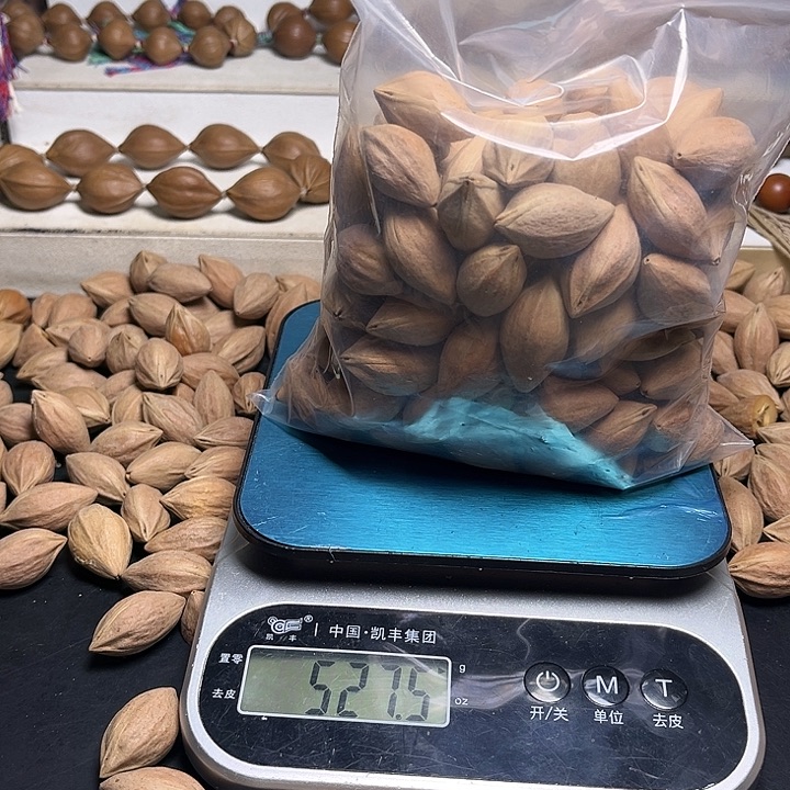 贼***鬼手串/手链橄榄核素核