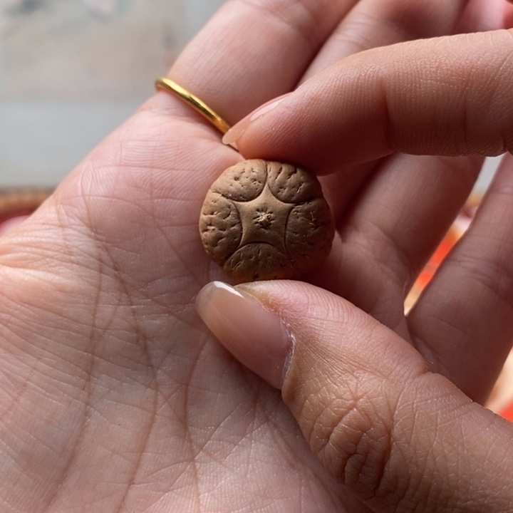 凤眼菩提手串好*19.9五星