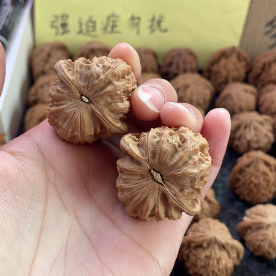 白狮子。         边39。