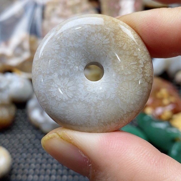 硅化珊瑚（珊瑚玉）颈饰未镶嵌