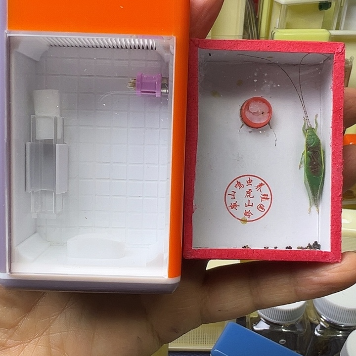 兰***馨哈哈哈哈哈哈哈哈哈哈哈