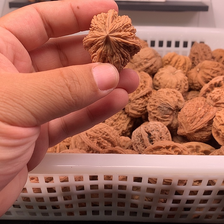 挪***林吊坠文玩核桃核桃