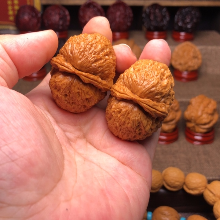 橄榄核把件9食蚁兽41