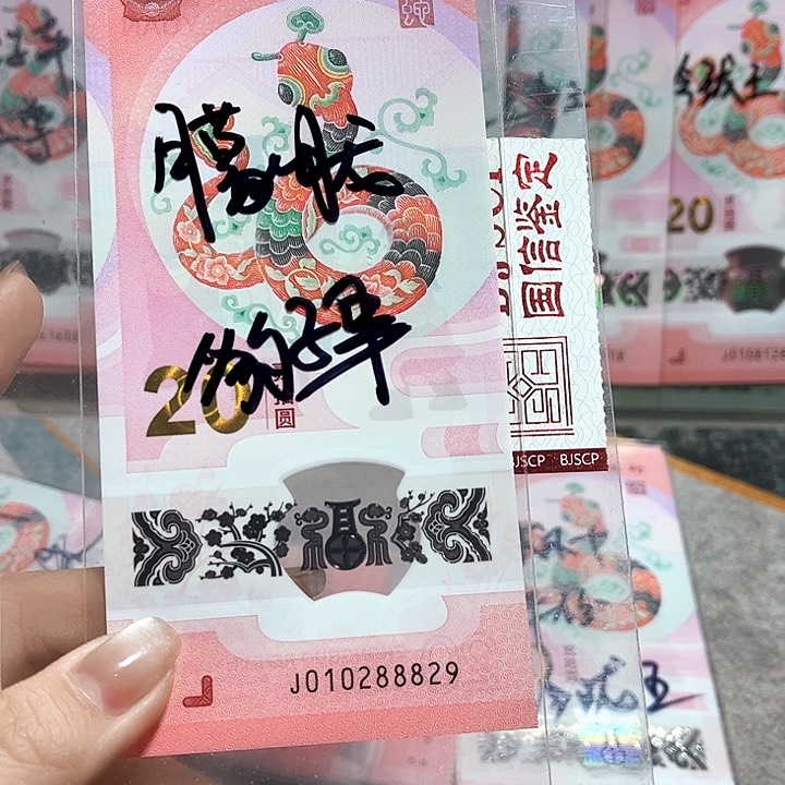 塑料010288829。。。。。朦胧 豹子身