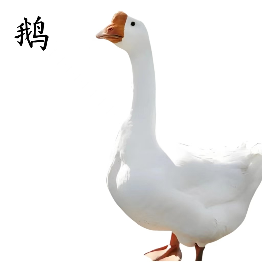 三花整鹅肉质鲜美顺丰包邮