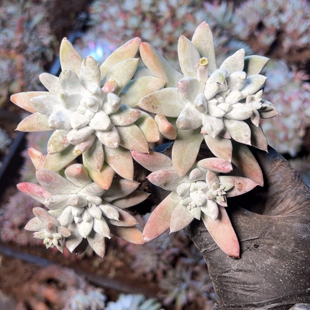 6536哈哈哈哈哈哈哈