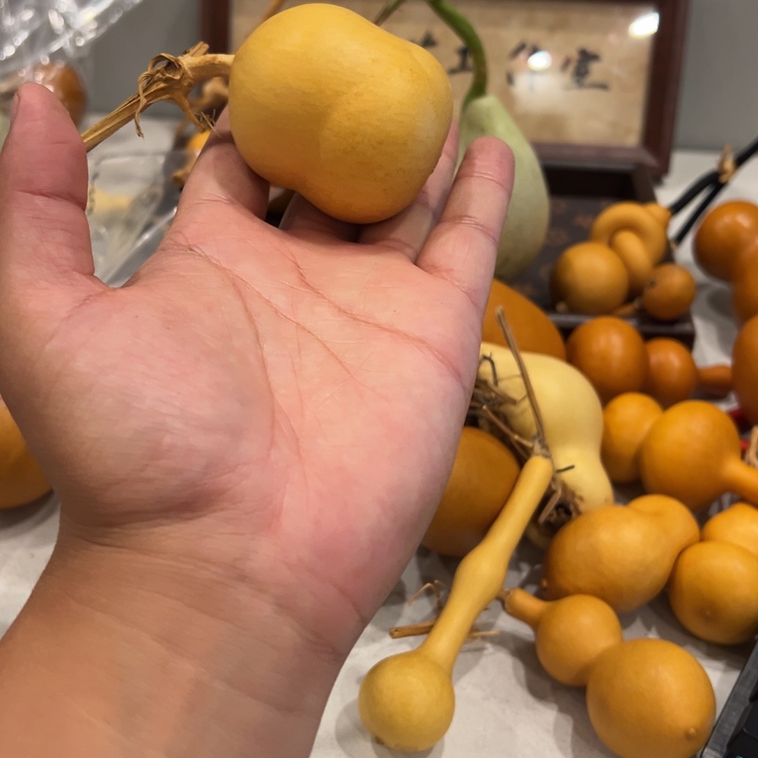 哈哈哈哈哈哈哈哈哈