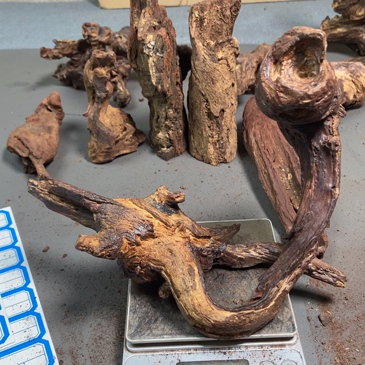 黄花梨/降香黄檀只***买