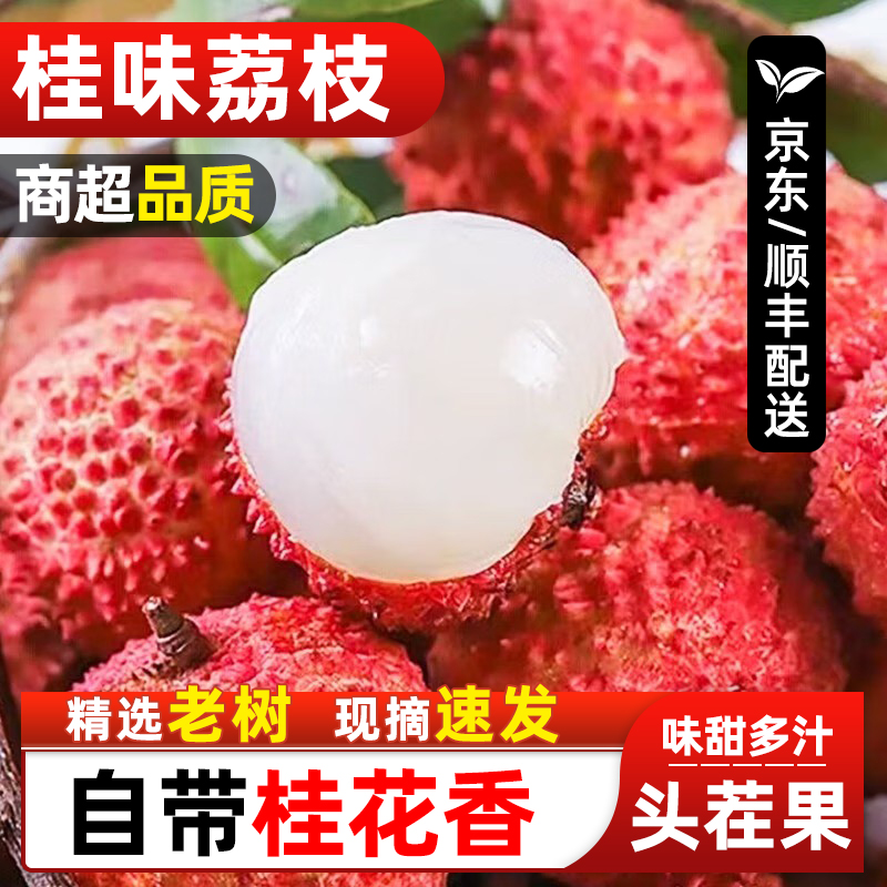 【冷链速运】广西灵山桂味荔枝 当季新鲜水果现摘老树清甜多汁荔枝同城送