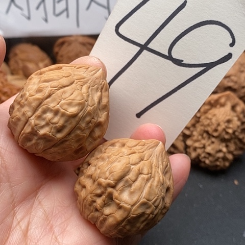 桃核吊坠37全品龟甲文