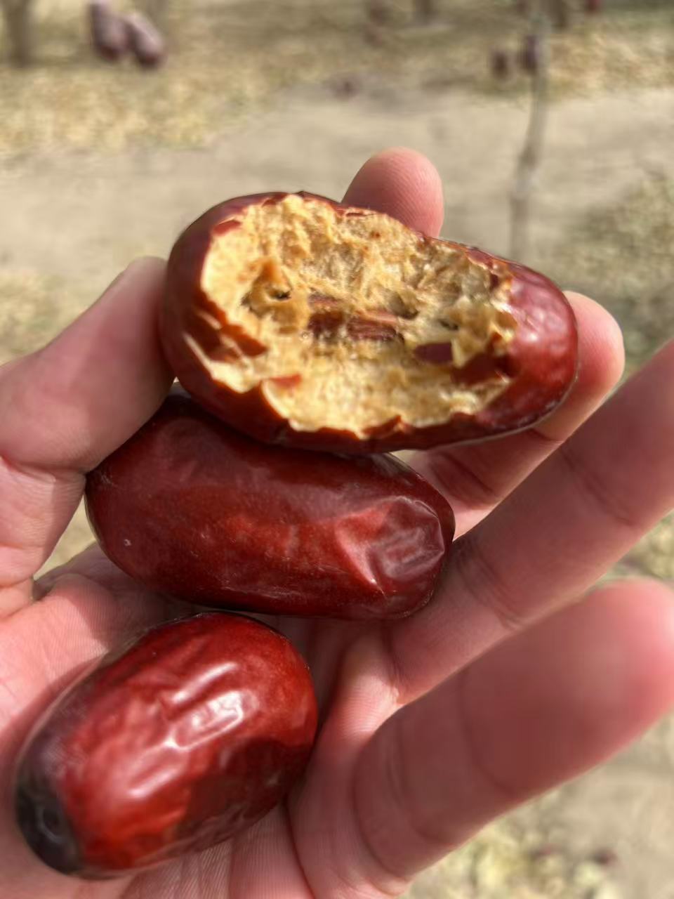 【一级新疆和田大枣】和田产地直发大枣肉厚核小25年新货