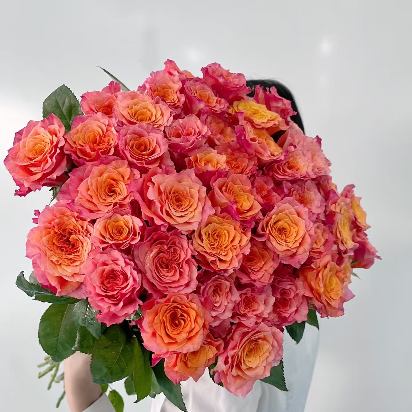 10枝火灵鸟单头玫瑰【两单顺丰冷链或京东】云南鲜花