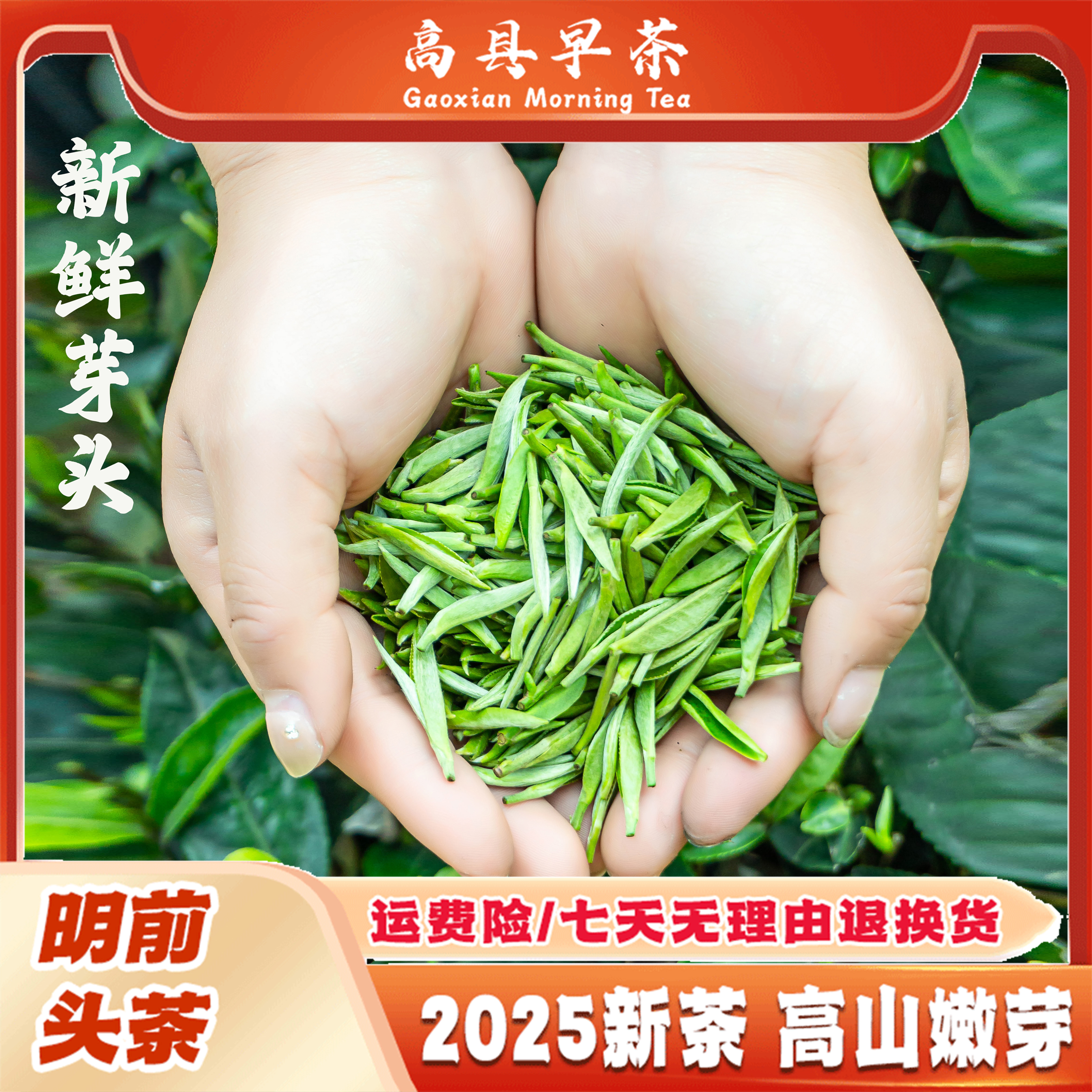2025新龙井早绿茶明前嫩芽高山云雾浓香耐泡春茶栗香口粮茶