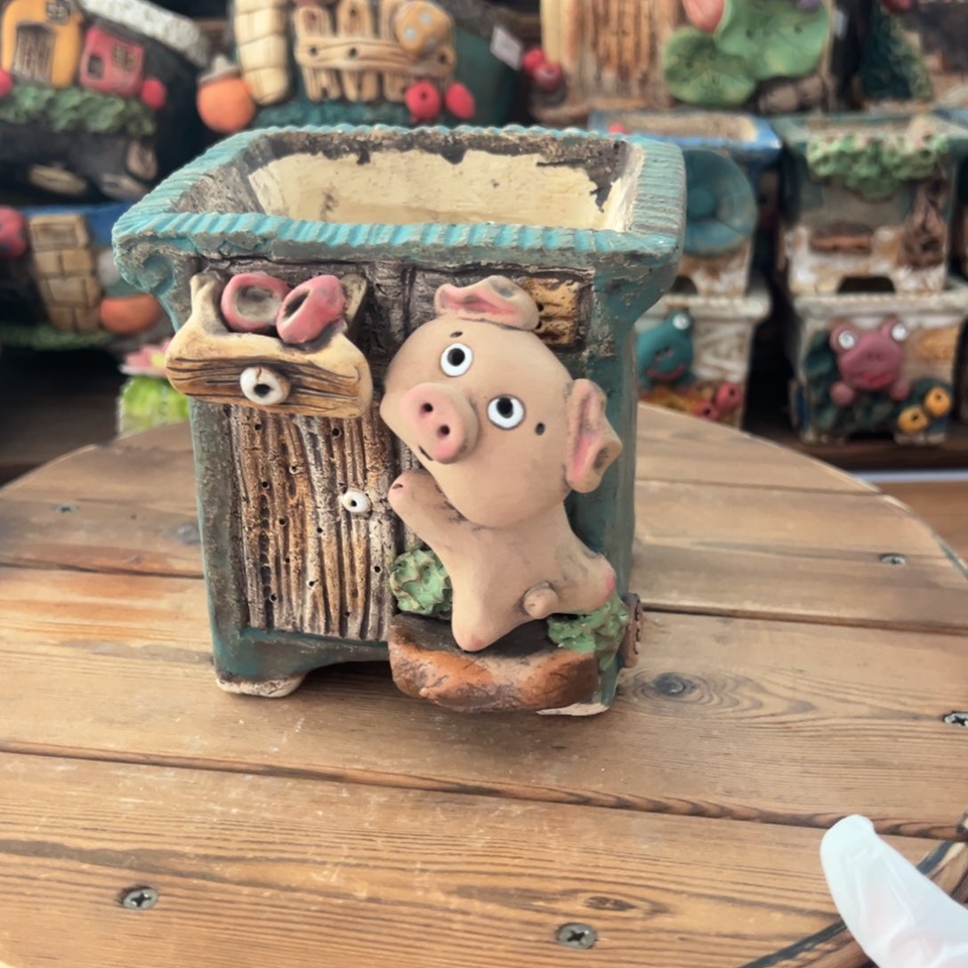 红陶嘻哈多肉花盆