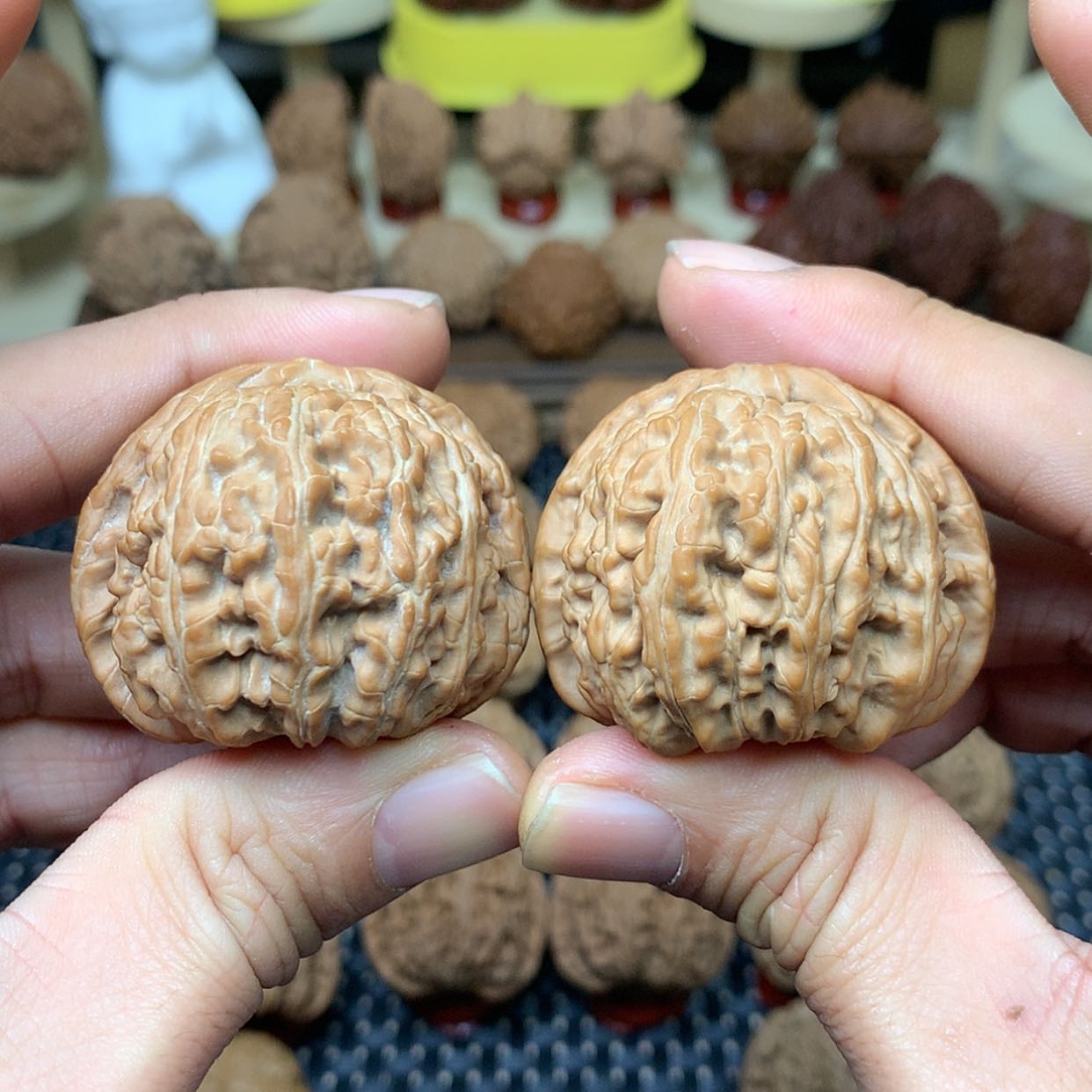 【闪购商品】文玩核桃把件全品闷白狮子头44.7文玩核桃