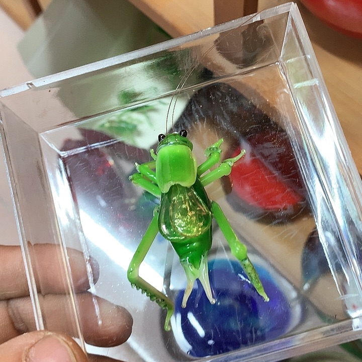琉璃琉璃琉璃琉璃