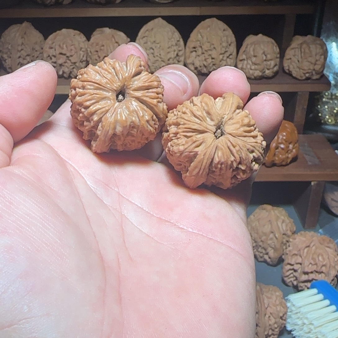 澜***凌吊坠文玩核桃涿鹿南疆36全品