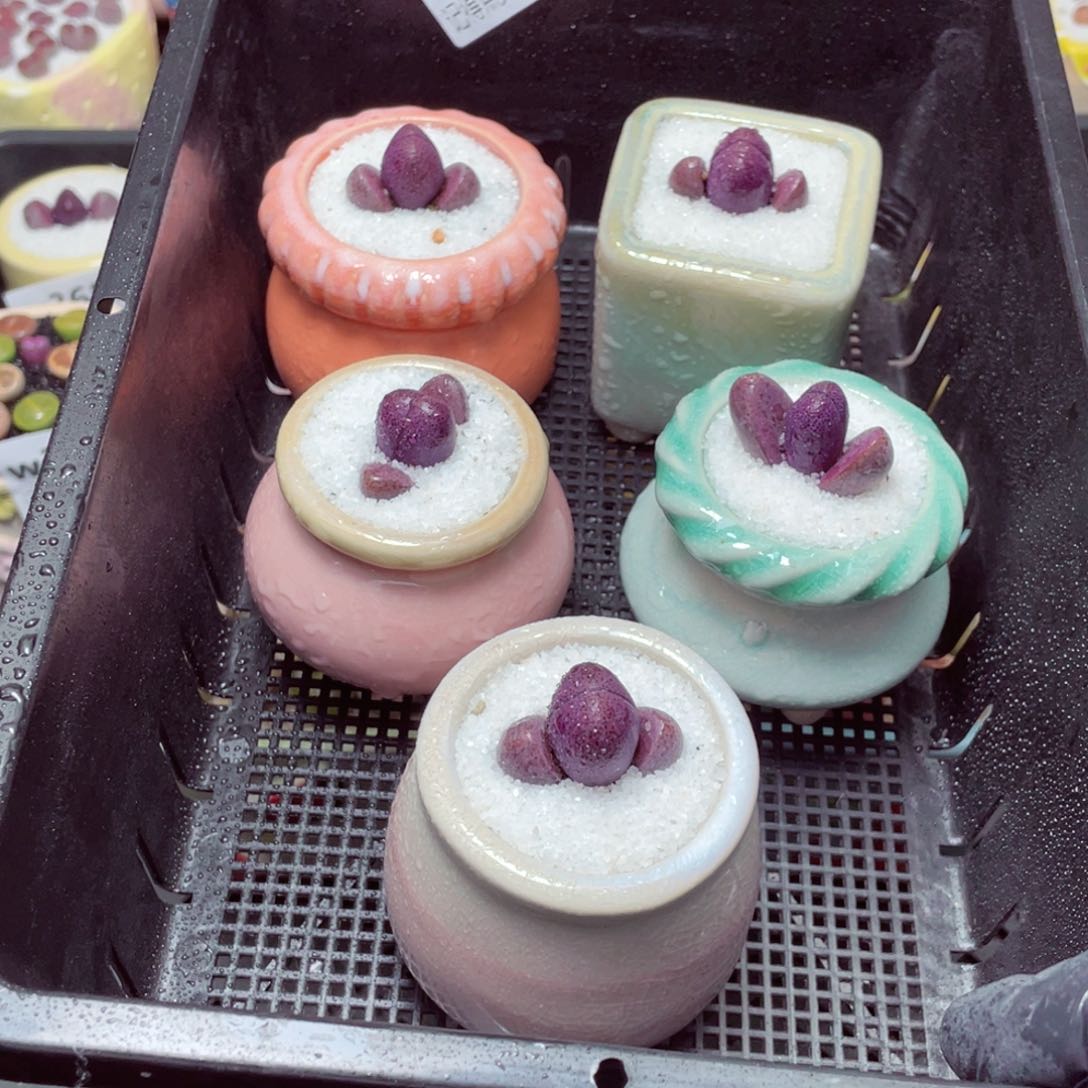 w9540-紫帝玉，一份一盆量拍