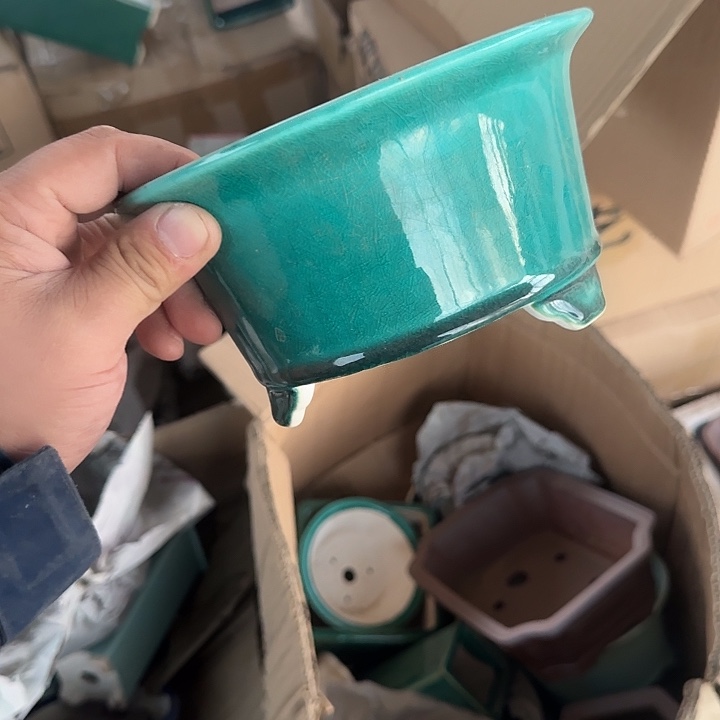 你就在家里吃好吧亲爱你吃的东西