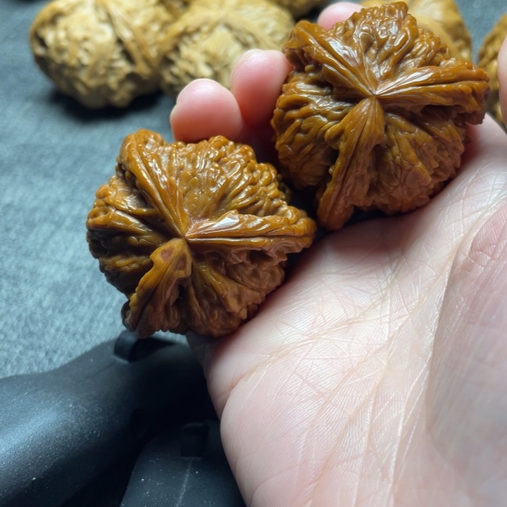 大***道手工三棱白狮子三棱