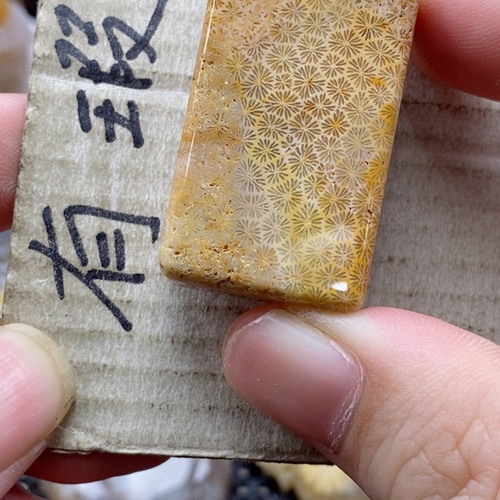 硅化珊瑚（珊瑚玉）颈饰未镶嵌