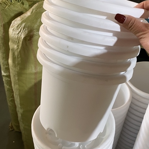 树脂四季3号10个无托白