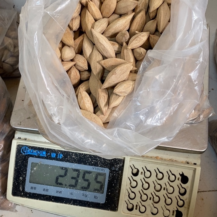 吊坠橄榄核馫*這是一起