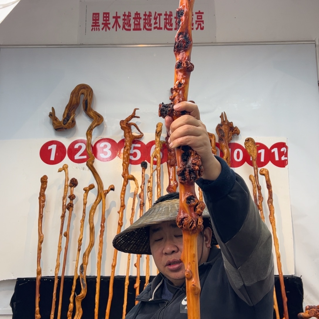 博***剧黑果木其他黑果木984