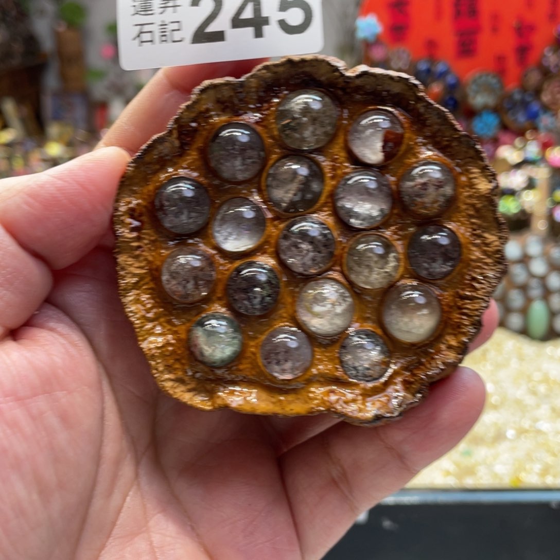 核桃木/黑胡桃（胡桃木）245