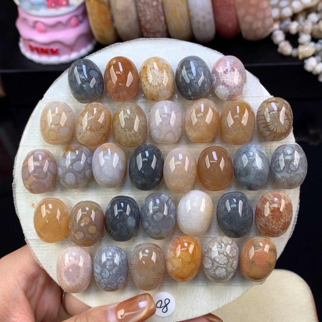 硅化珊瑚（珊瑚玉）未镶嵌颈饰精美龟背80一个可挑（2号）