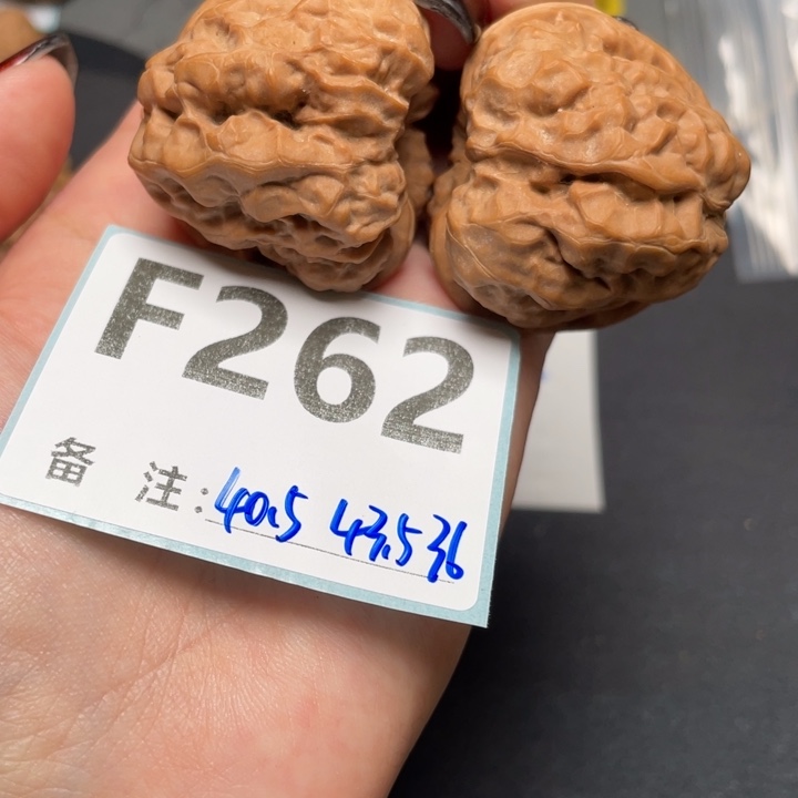 核桃嘎嘎肌肉蛙40.5 43.5 36