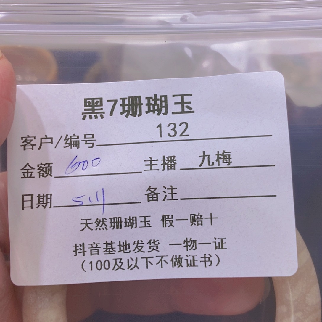 硅化珊瑚（珊瑚玉）未镶嵌颈饰聂****）