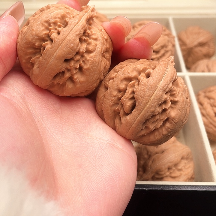 海***霸王龙核桃尺寸41