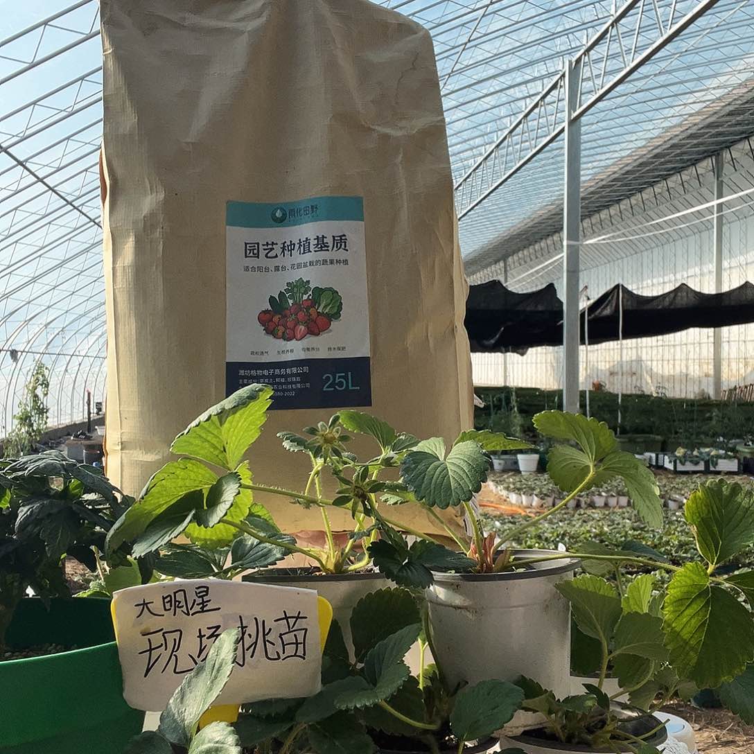 草莓土专用土草莓土草莓土