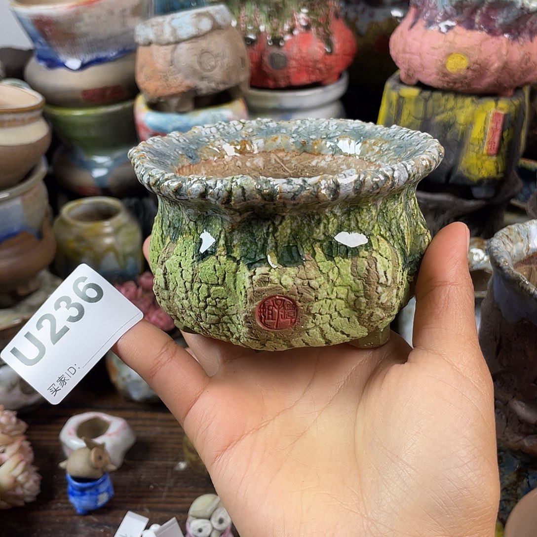 默认微次 跨年福利 坛子姐花盆