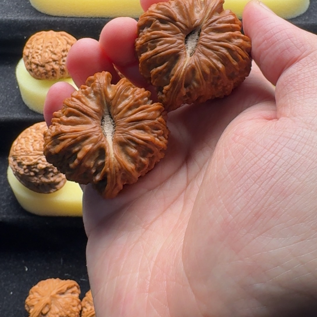 文玩核桃吊坠老****火44白狮子