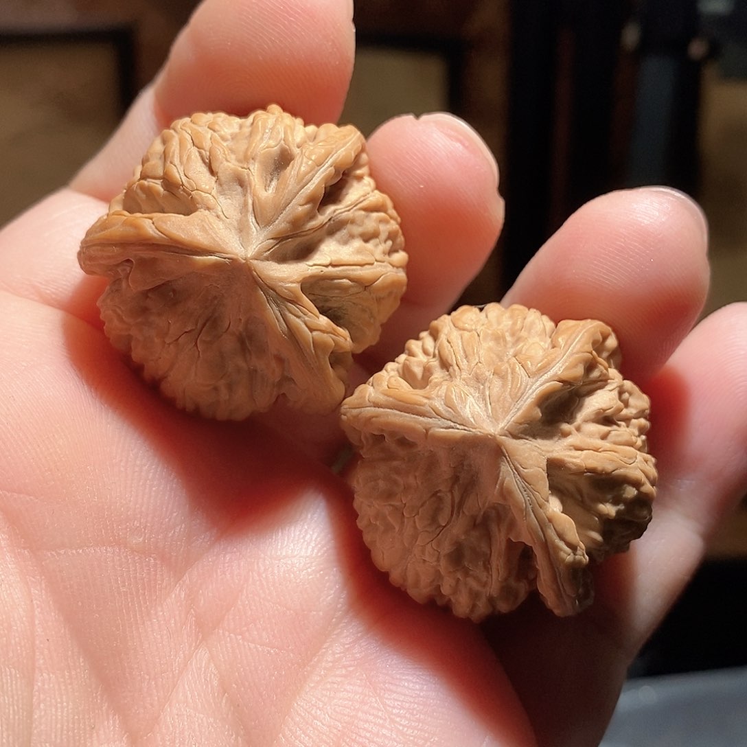 文玩核桃把件35文山三棱全品