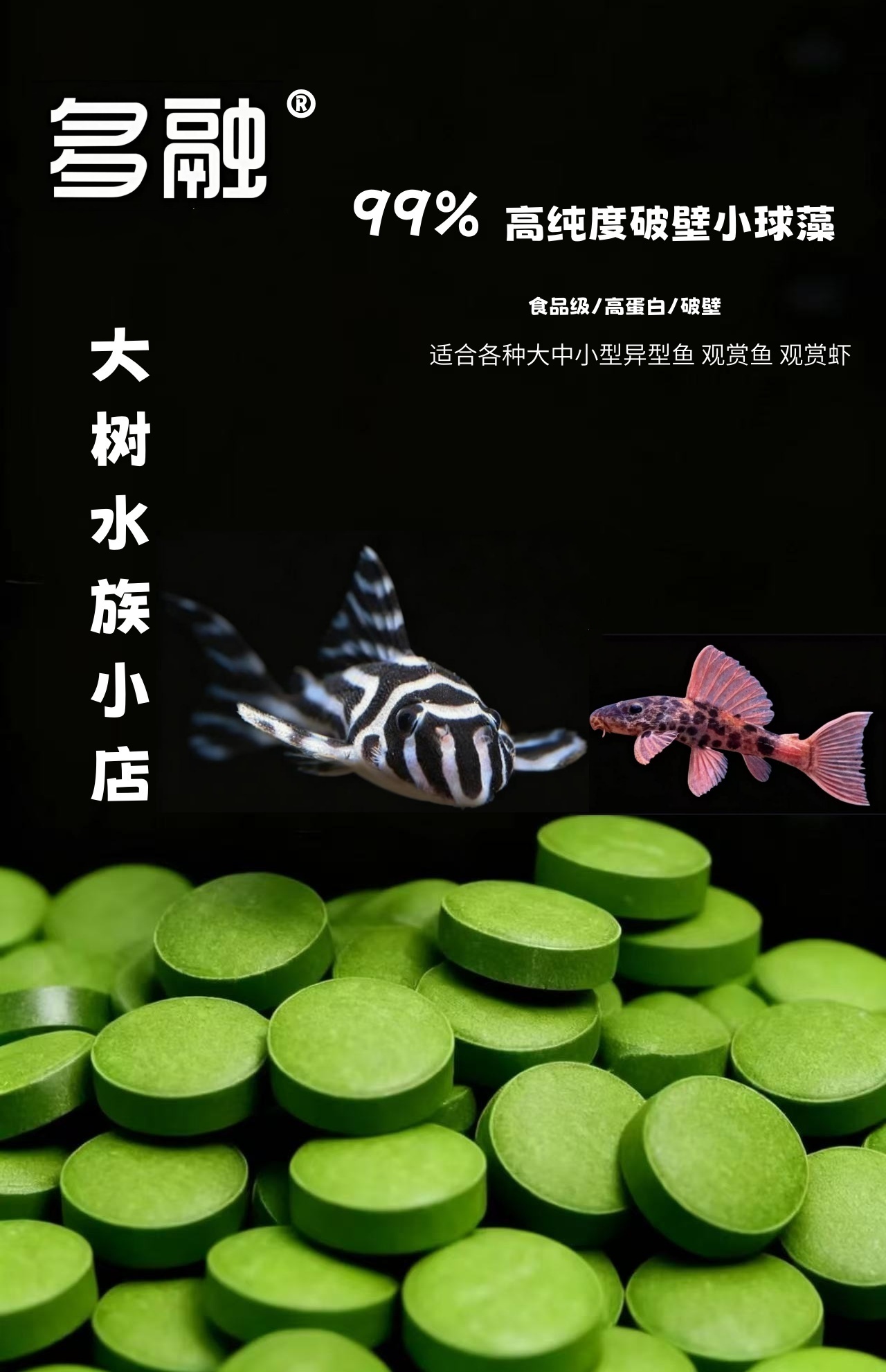 【大树水族】专用破壁小球藻小型鱼异型鱼饲料小球藻幼鱼开口粮