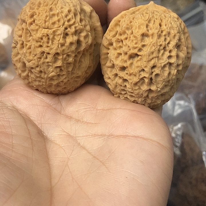 把件文玩核桃云南铁核桃基地104