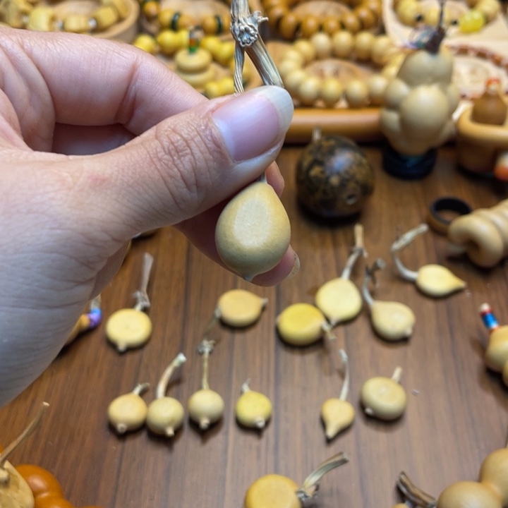 *****天然葫芦自然生长