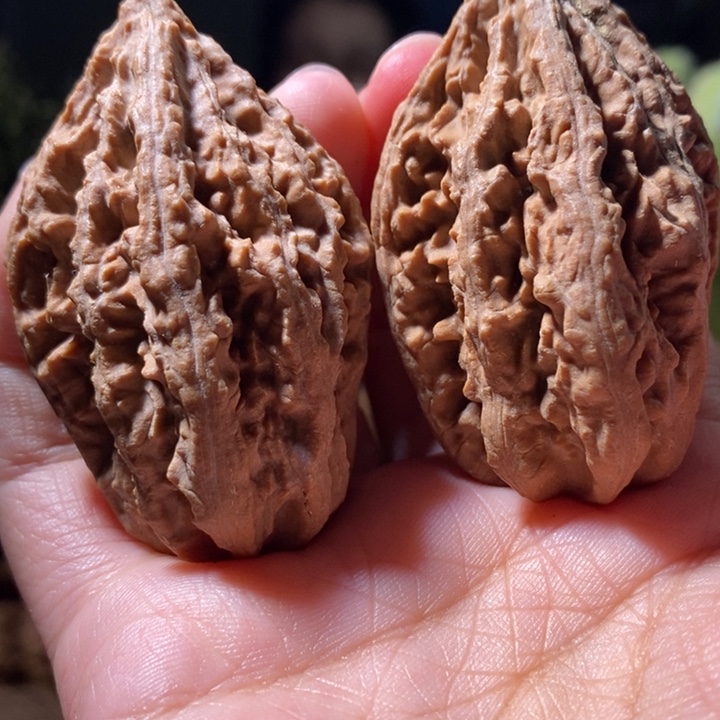 文玩核桃把件东北楸子小路 106