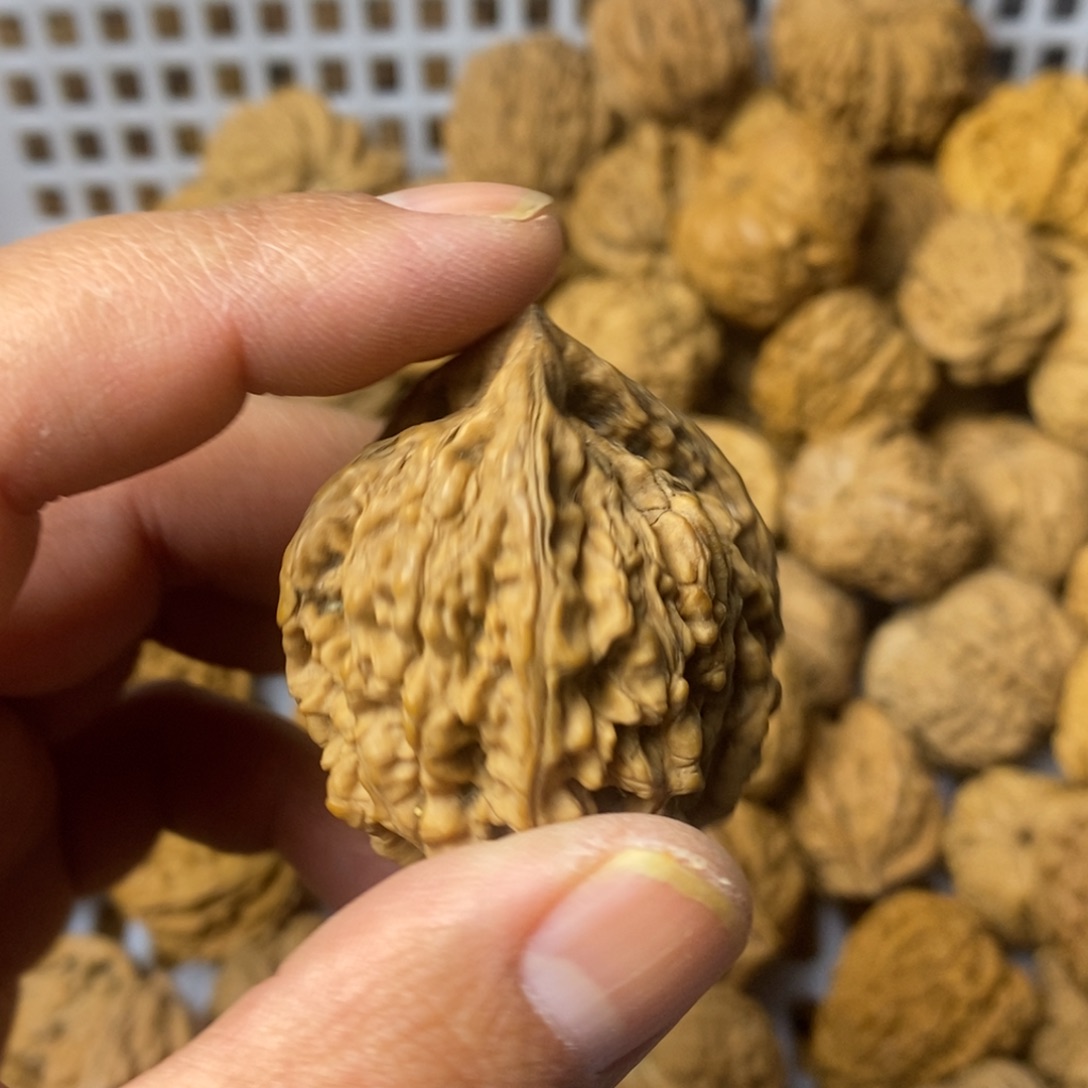 仌***文玩核桃吊坠文玩